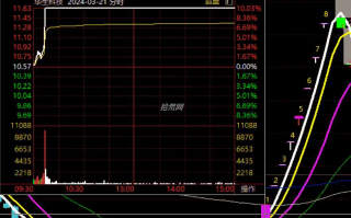 涨停板强度：什么是涨停板溢价？如何预判涨停板次日的溢价？