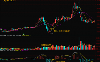 三线金叉共振：听说这3个指标同时出现 买点成功率大增（图解）