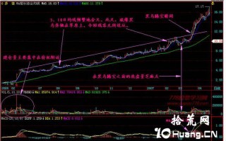 新手炒股300天教程38：黑马草上飞（图解）