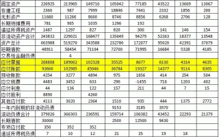 价投如何读财报：让木林森的报表教您看经营性负债