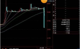 图解炒股最大的风险除了系统风险 就是财报造假