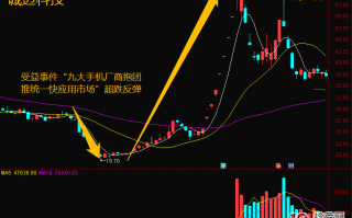 超跌反弹行情一定要盯首板股，不是坑就是连板成妖股（图解）