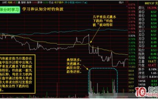 判断识别股票分时钓鱼波与高抛低吸技巧（图解）