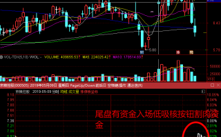 存量资金博弈行情，低吸核按钮割肉盘的反包板模式与龙头换手接力板模式的优劣（图解）