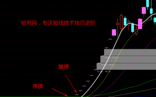 公告战法（1）：哪些公告值得关注？