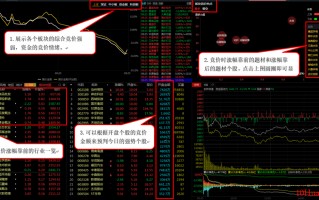 通达信极速看盘功能之盯盘前哨和盘面侦查使用技巧（图解）