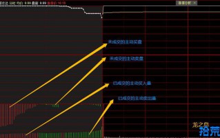 竞价图入门： “竞价排量”在集合竞价选股中的应用（图解）