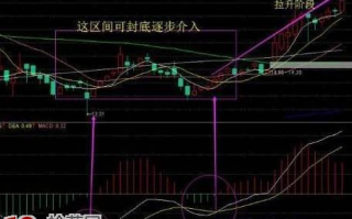 庄家害怕股民学会的MACD盈利技巧，简单实用